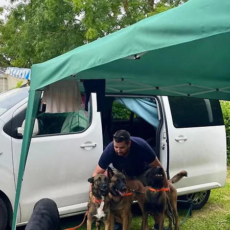 Mobil-home Familial Pour 5 A - Api-1-52-1714 Campsite *