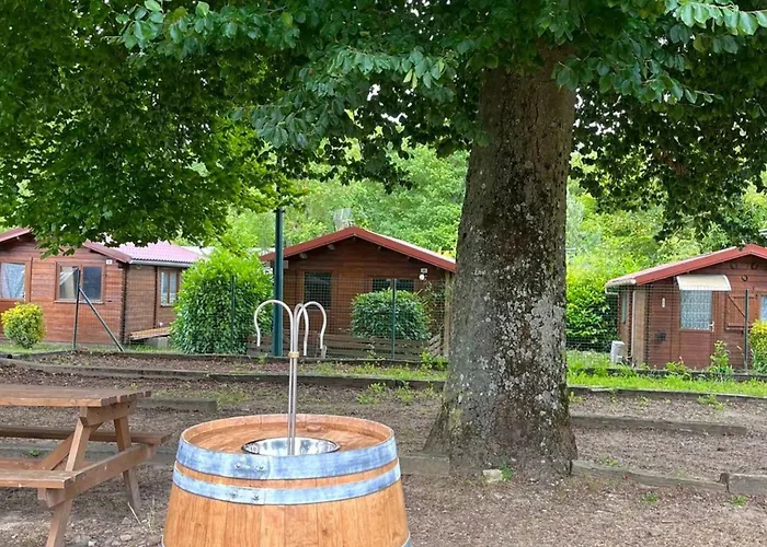 Mobil-home Familial Pour 5 à - Api-1-52-1714 Camping Angicourt